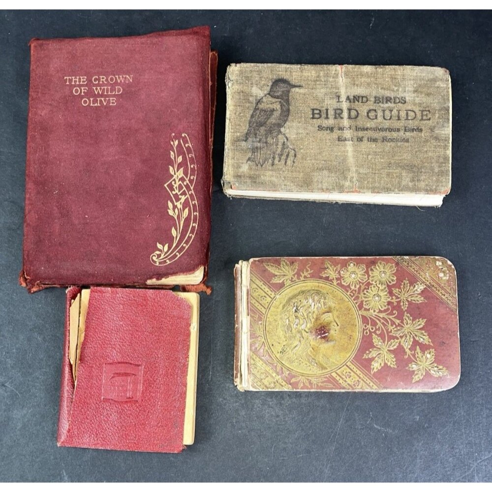 4 Antique Books Autograph 1880s Northbridge MA The Gold Bug Edgar Allan Poe +2